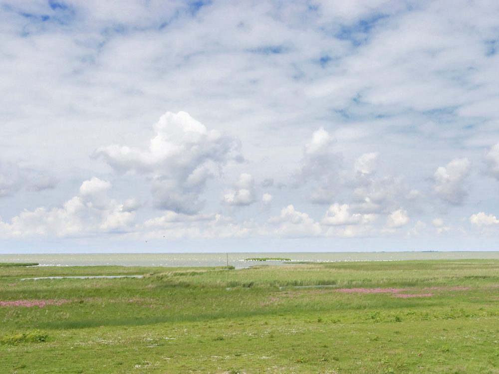 Uitkijkpunt Hokje Bakker warkumerwaard Uitkijkpunt Hokje Bakker warkumerwaard
