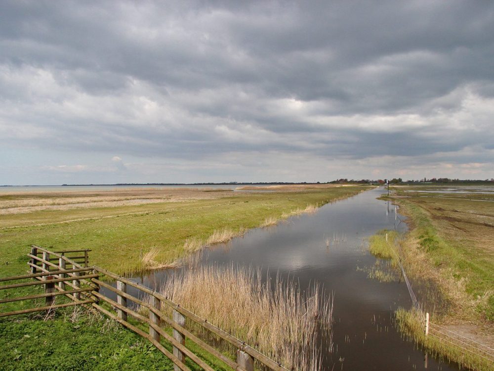 Uitkijkpunt Hokje Bakker warkumerwaard Uitkijkpunt Hokje Bakker warkumerwaard