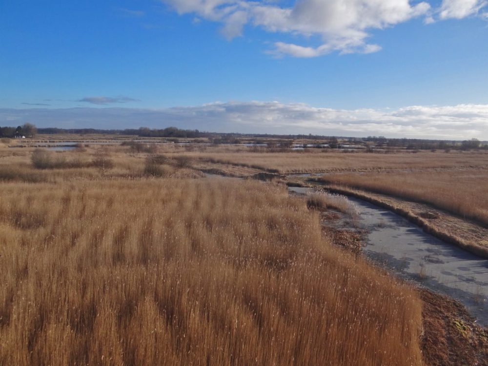 Uitkijktoren Earnesleat alde feanen Uitkijktoren Earnesleat alde feanen
