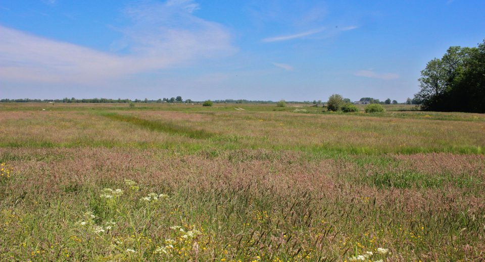 rengerspole alde feanen