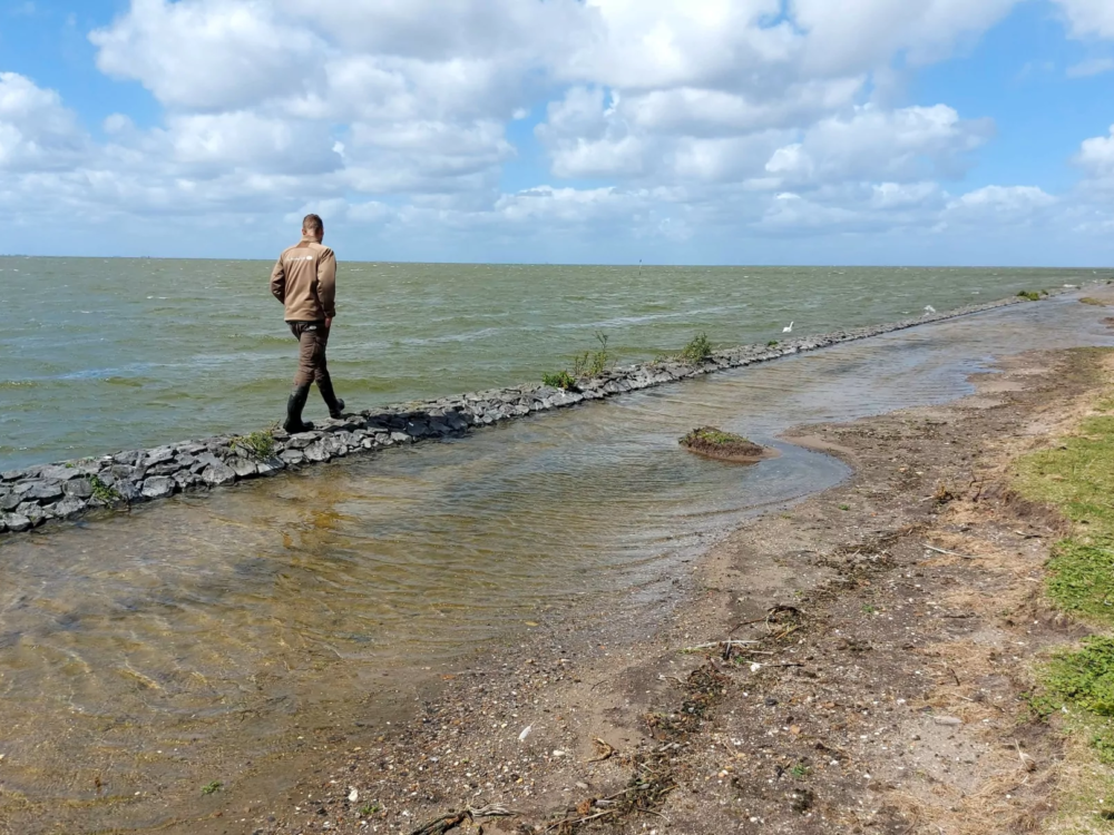 mokkebank friese ijsselmeerkust