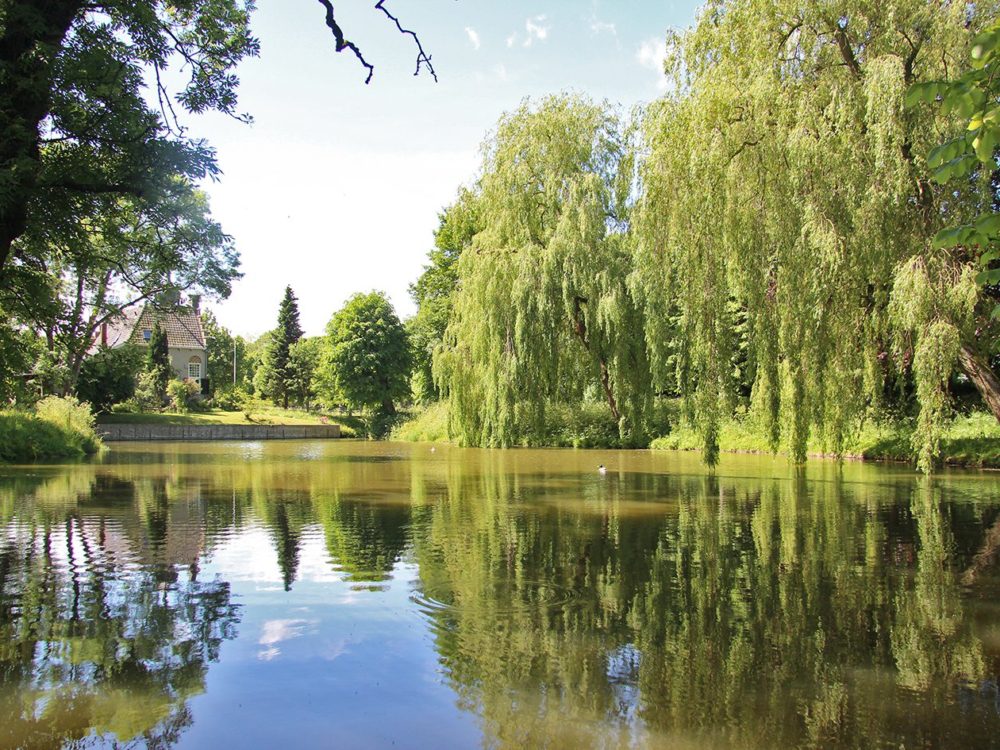 Park Martenastate