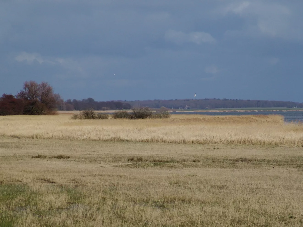 Friese IJsselmeerkust mokkebank Friese IJsselmeerkust mokkebank