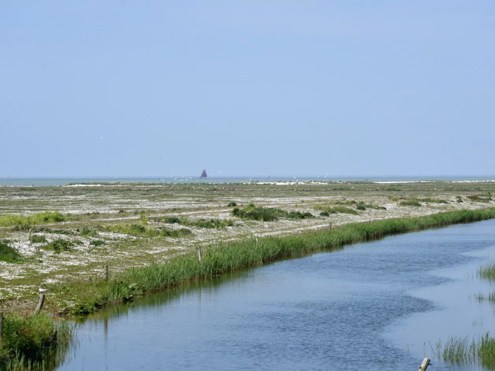 Friese IJsselmeerkust warkumerwaard Friese IJsselmeerkust warkumerwaard
