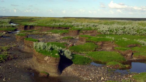 : Natuurlijke klimaatbuffers