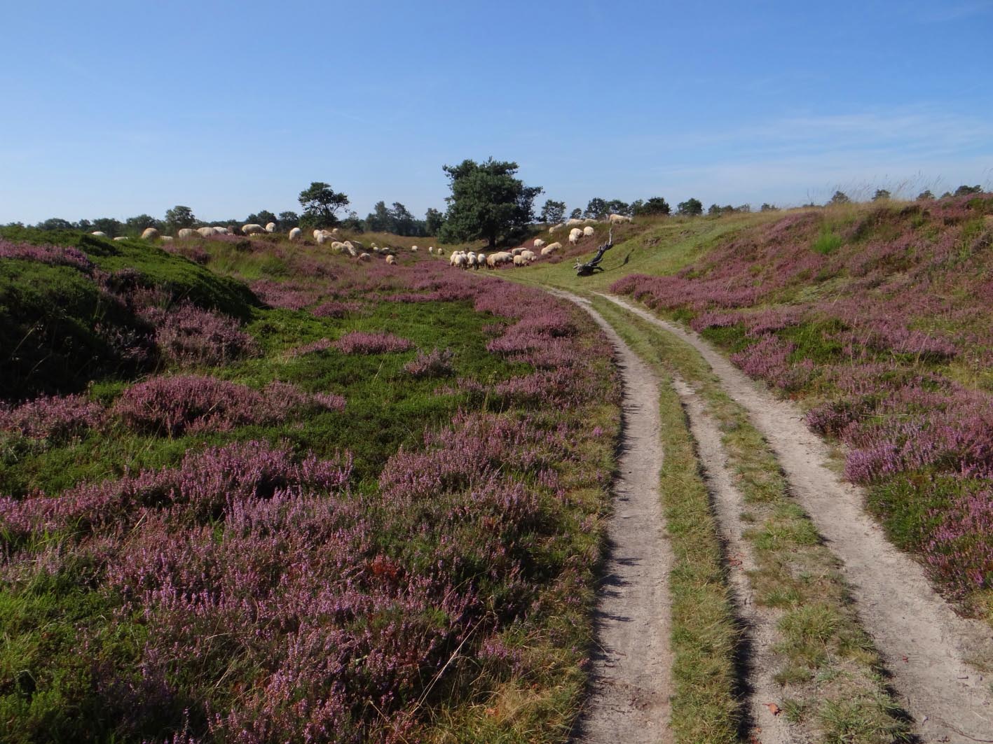 holle weg mandefjild holle weg mandefjild