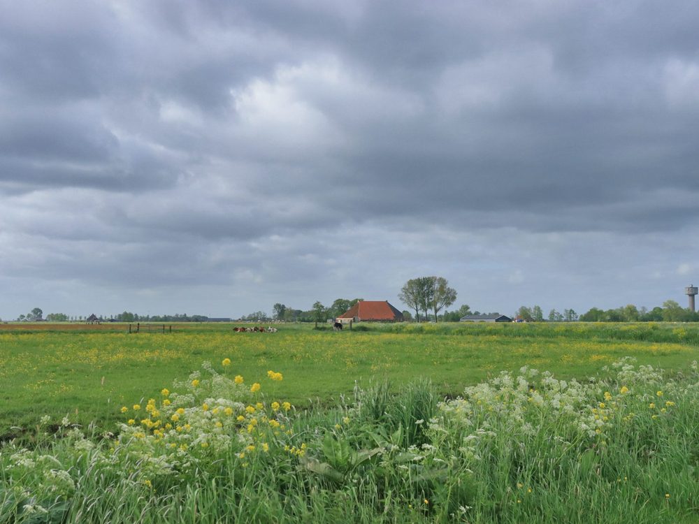 Soarremoarsterpolder kathus Soarremoarsterpolder kathus