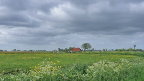 Soarremoarsterpolder kathus