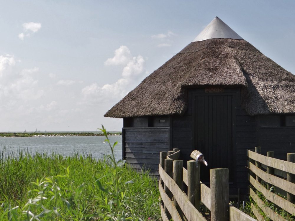 Vogelkijkhut De Swan bocht fan molkwar Vogelkijkhut De Swan bocht fan molkwar