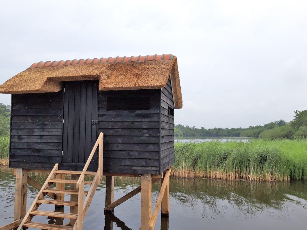 Vogelkijkhut Grutte Krite alde feanen Vogelkijkhut Grutte Krite alde feanen