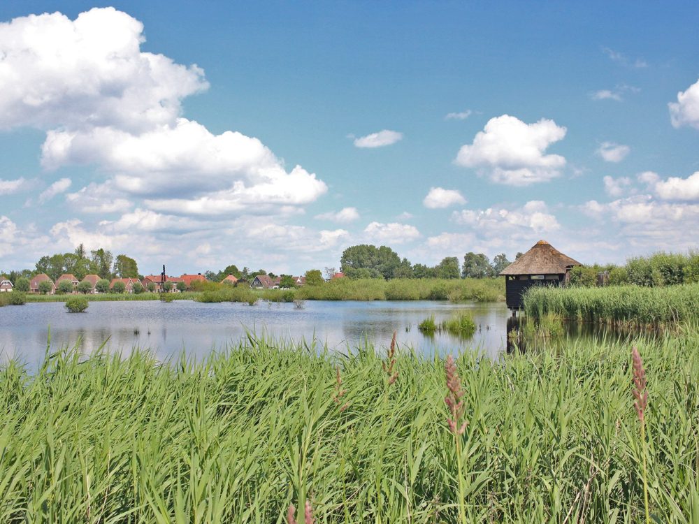 vogelkijkhut de kraanlannen feanhoop vogelkijkhut de kraanlannen feanhoop