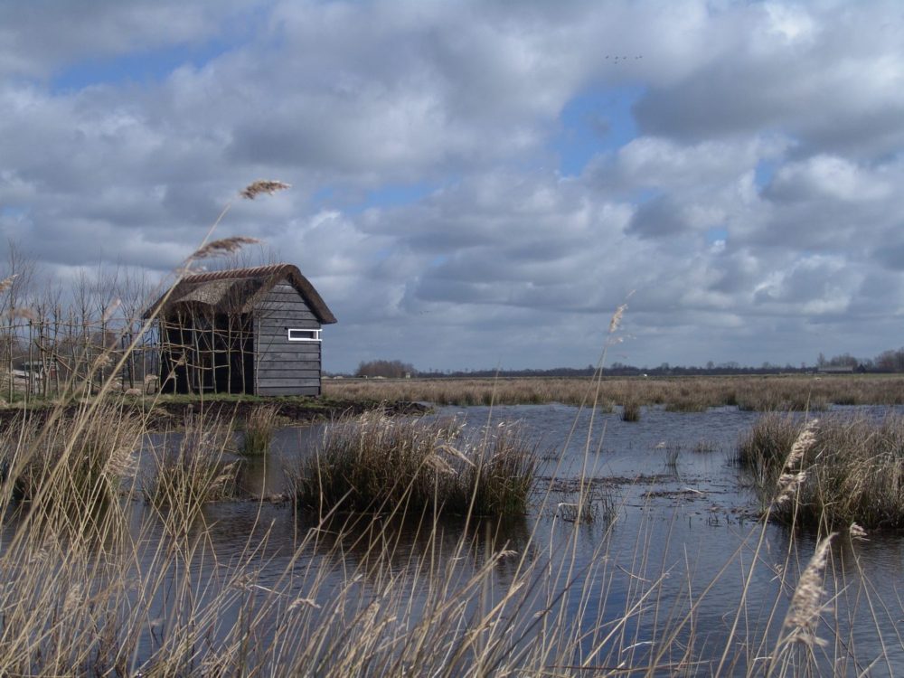 vogelkijkhut Westersanning alde feanen vogelkijkhut Westersanning alde feanen