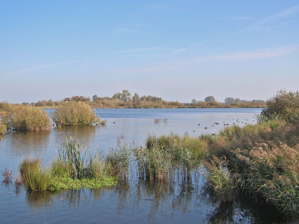 vogelkijkhut de kraanlannen feanhoop vogelkijkhut de kraanlannen feanhoop