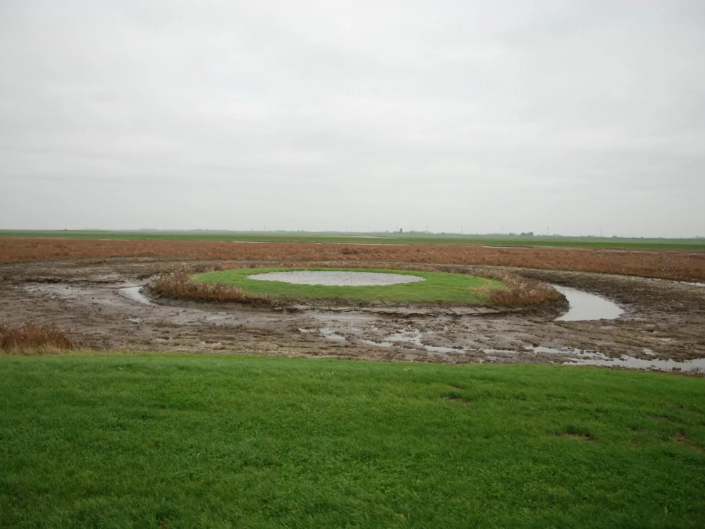 vogelbroedeiland en kijkscherm Noarderleech vogelbroedeiland en kijkscherm Noarderleech