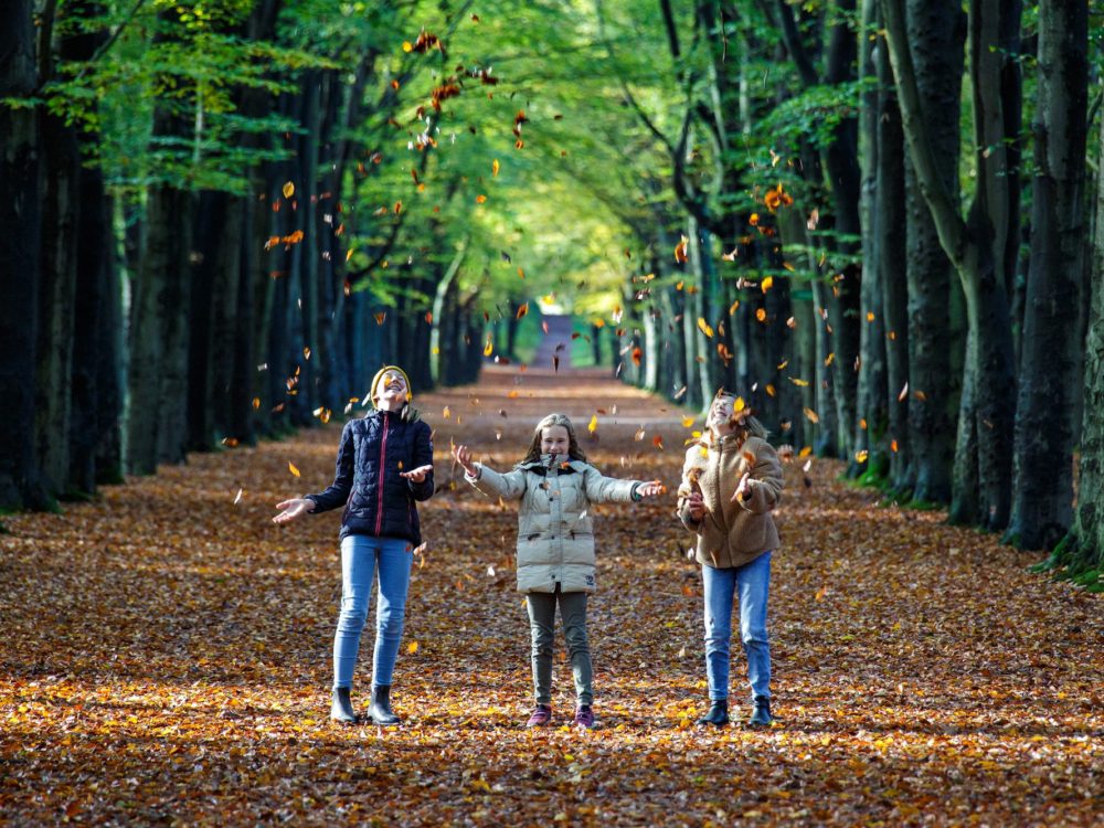 herfst