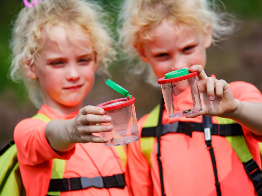 kidsgea bakkefeansterdunen mandefjild kidsgea bakkefeansterdunen mandefjild