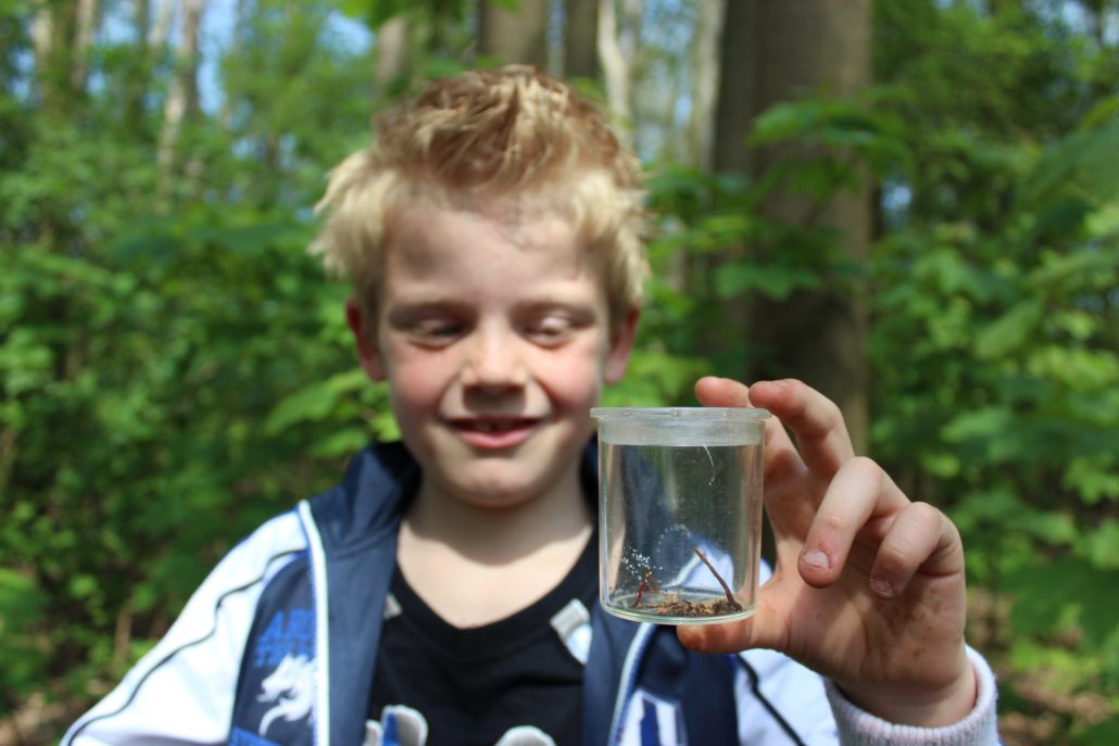kriebelbeestjes spinnen zoeken