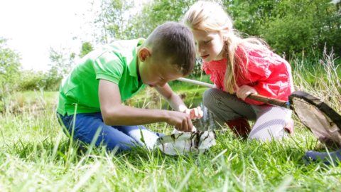 lig in het gras kids