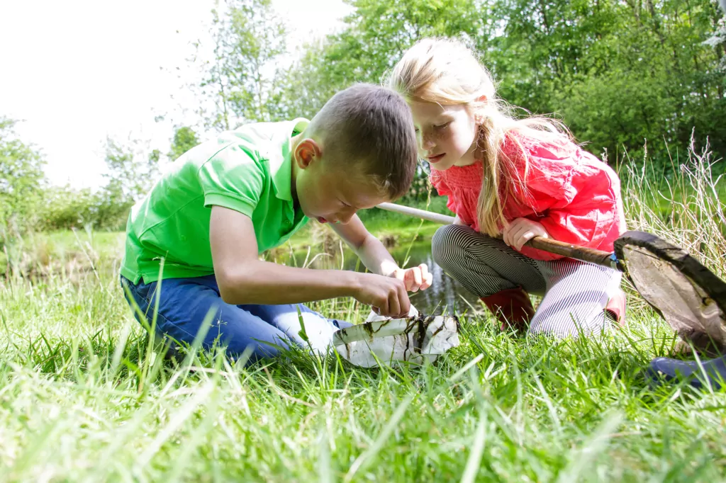 lig in het gras kids lig in het gras kids