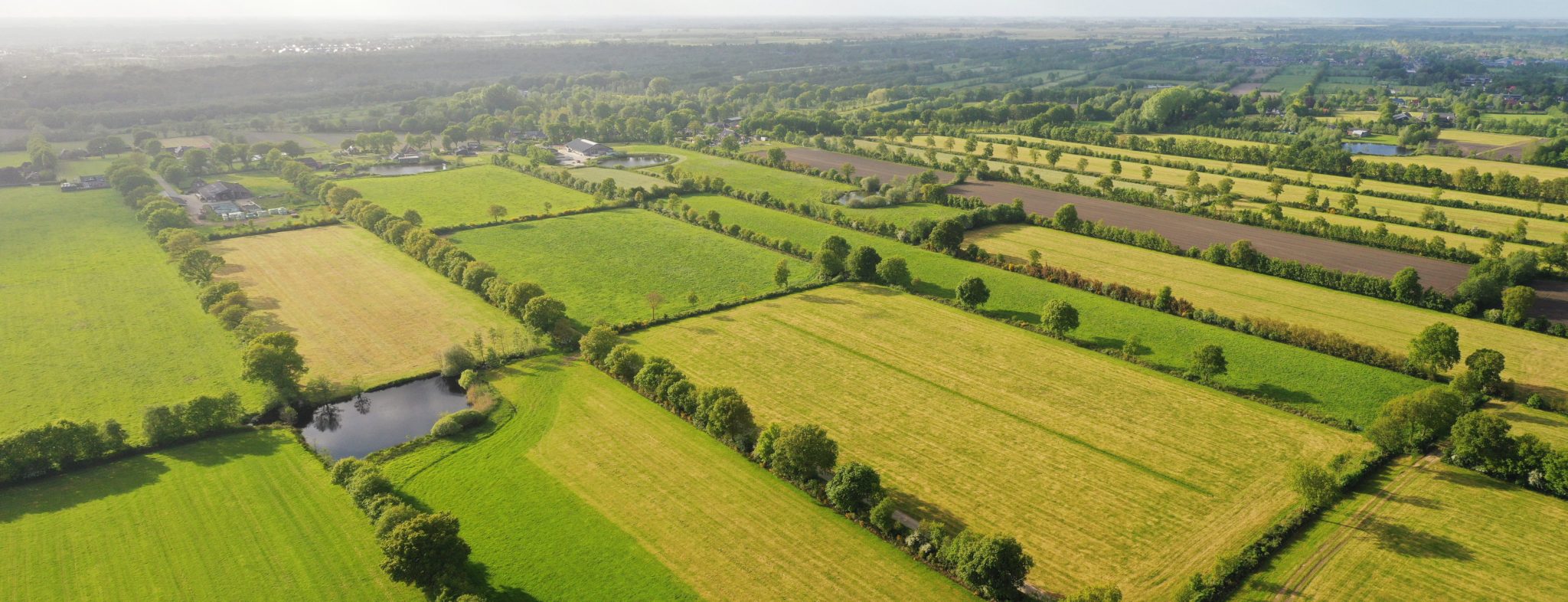 Coulissen landschap