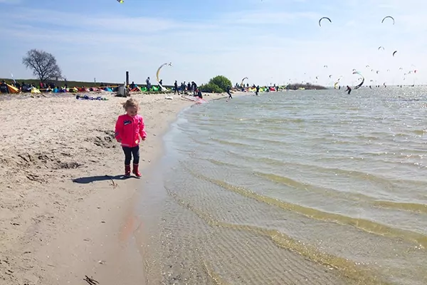 mirnserklif murnserklif rysterbosk