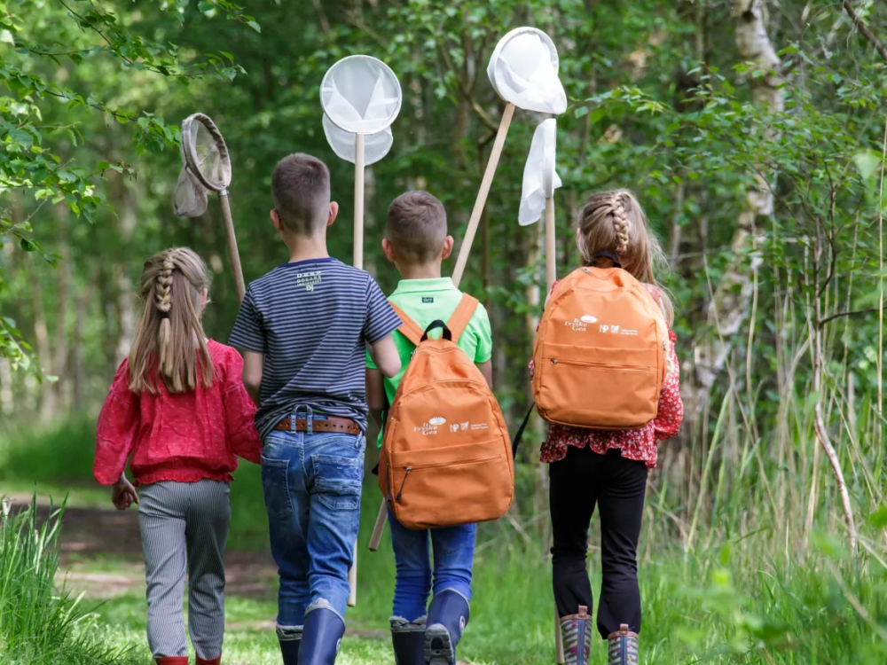 moerasroute alde feanen kids moerasroute alde feanen