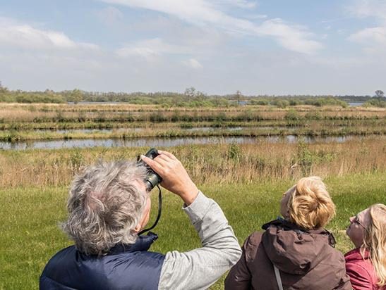 Excursie Workumerwaard