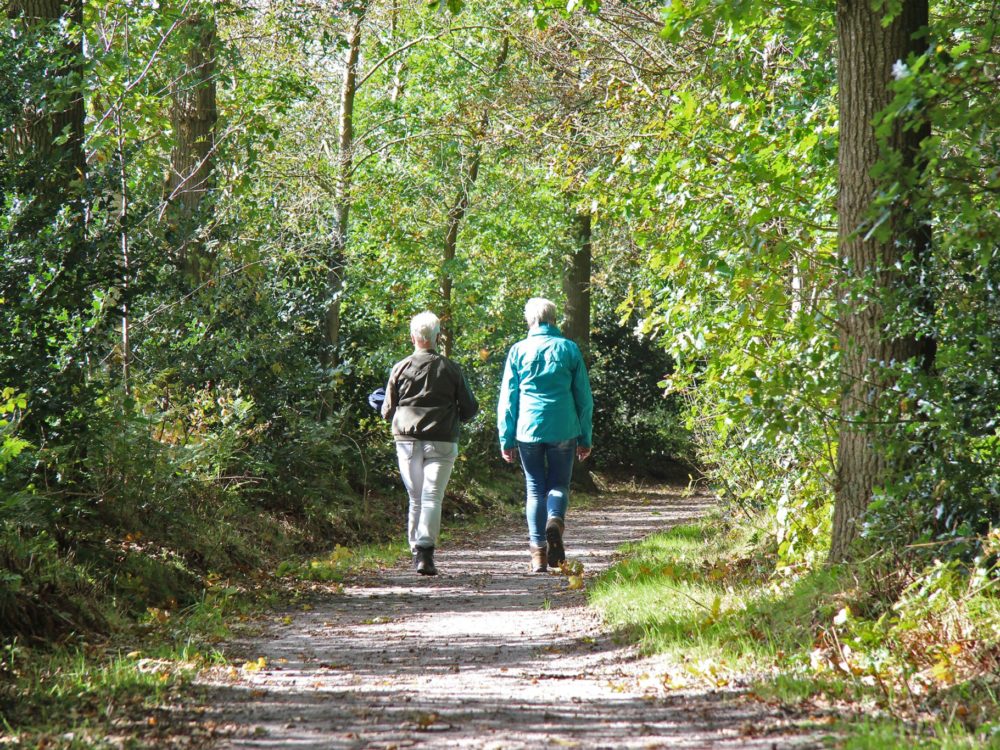 Wandelen