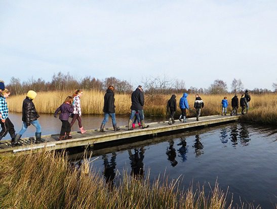 Excursie Workumerwaard