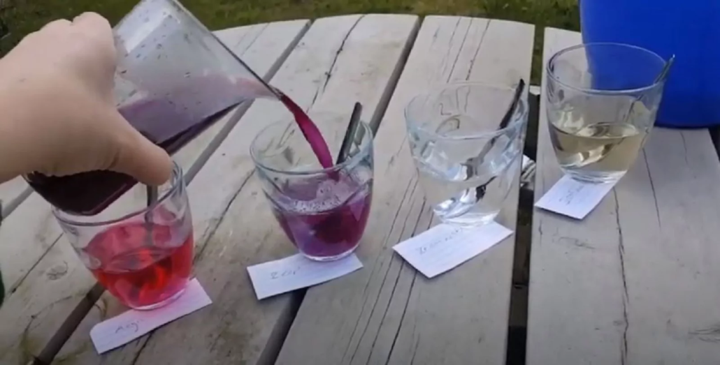 watertest met rode kool kids watertest met rode kool
