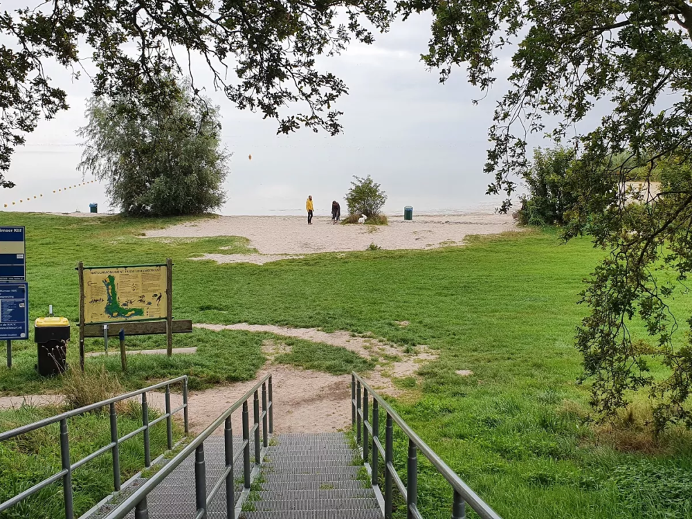 murnzerklif rysterbosk murnzerklif rysterbosk