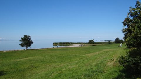 mirnserklif