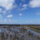 Wij & Wadvogels noard fryslan Bûtendyks