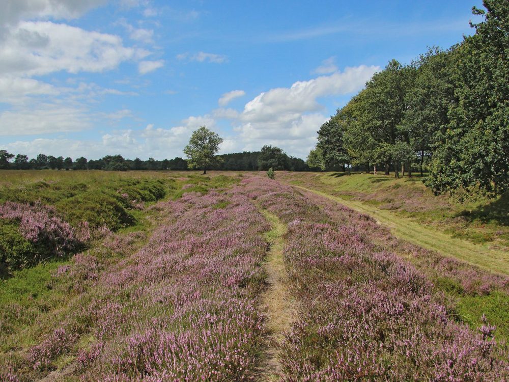 holle weg allardseach mandefjild bakkefeansterdunen holle weg allardseach mandefjild