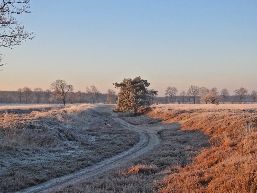 holle weg allardseach mandefjild bakkefeansterdunen holle weg allardseach mandefjild
