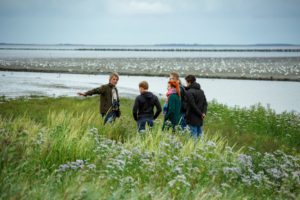 vrijwilliger it fryske gea