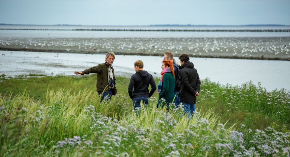 vrijwilliger it fryske gea