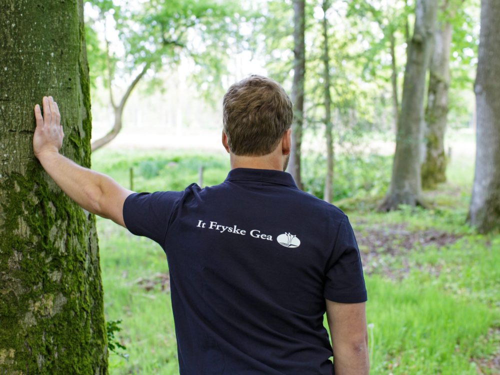 personeel it fryske gea