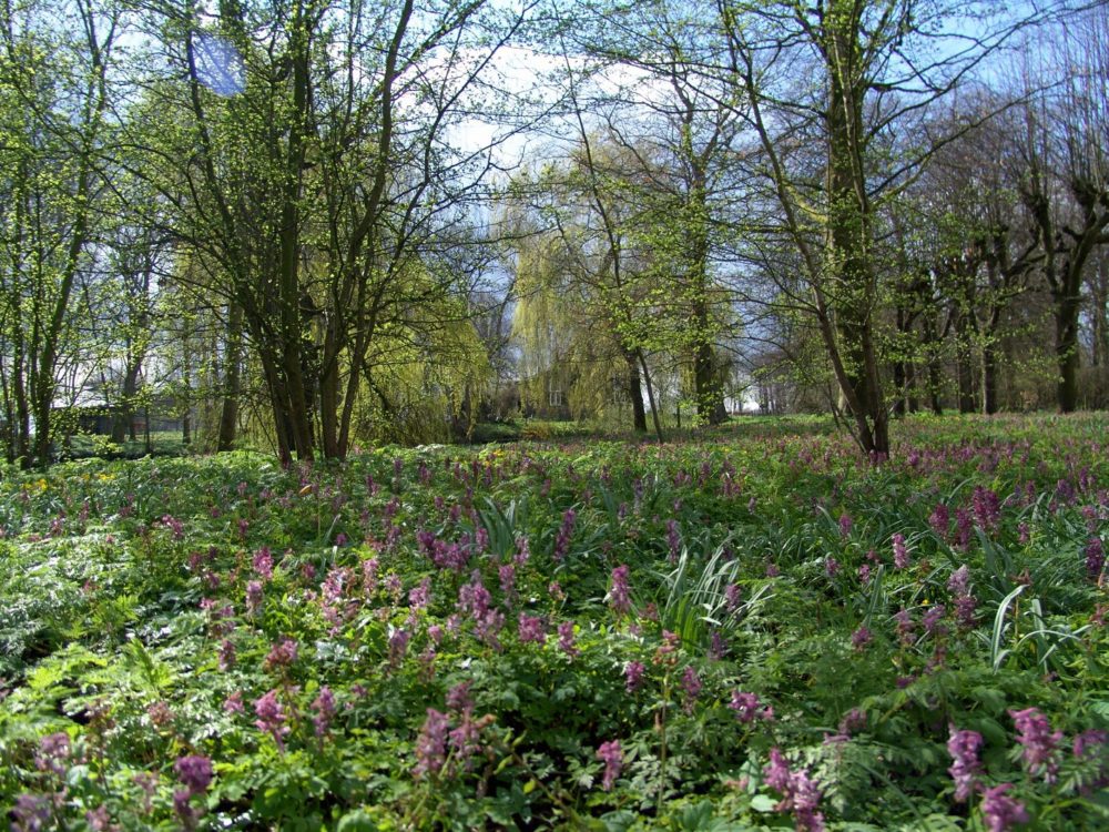 Landgoed Martenastate landgoed martenastate