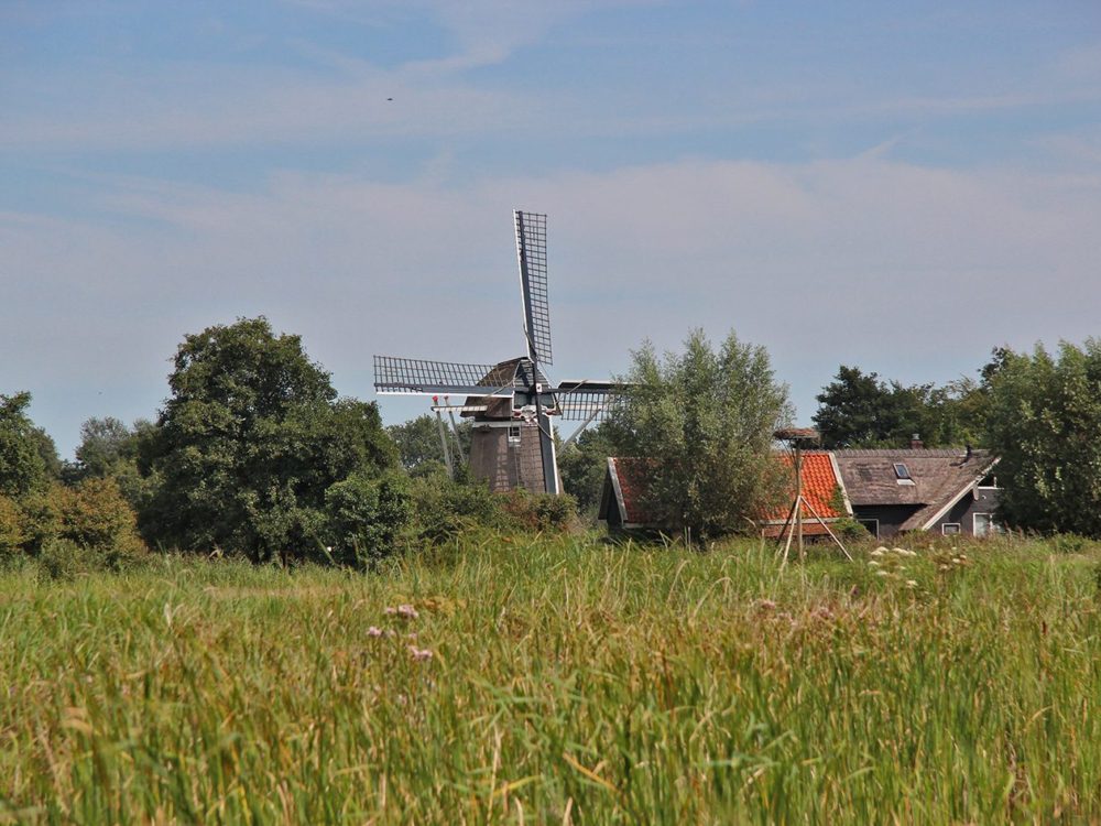Molen De Gooijer