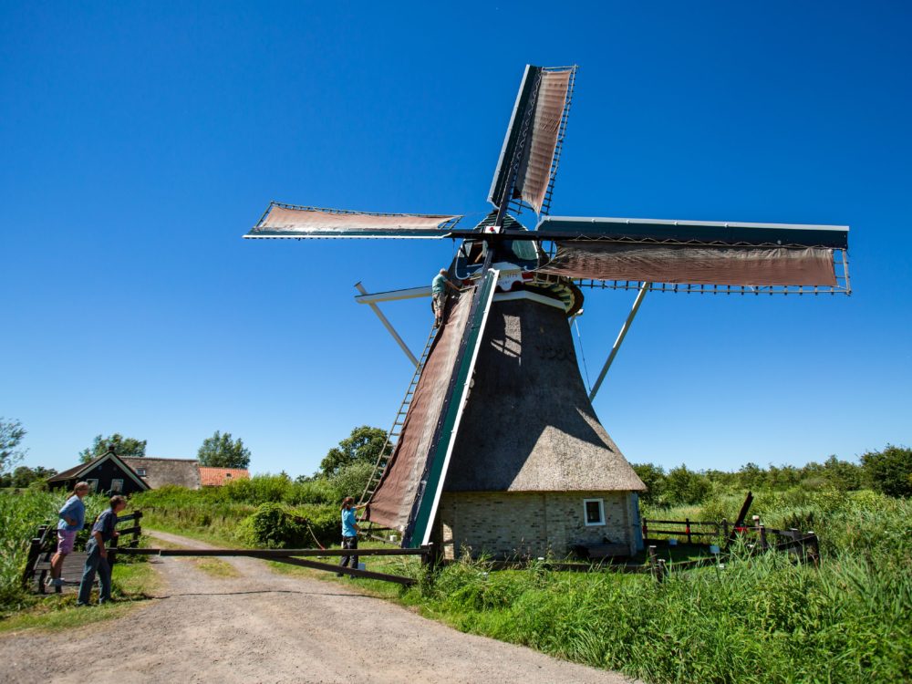Molen De Gooijer