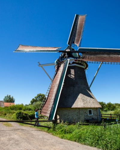 Molen De Gooijer