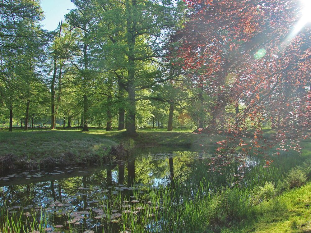 park huize olterterp park huize olterterp