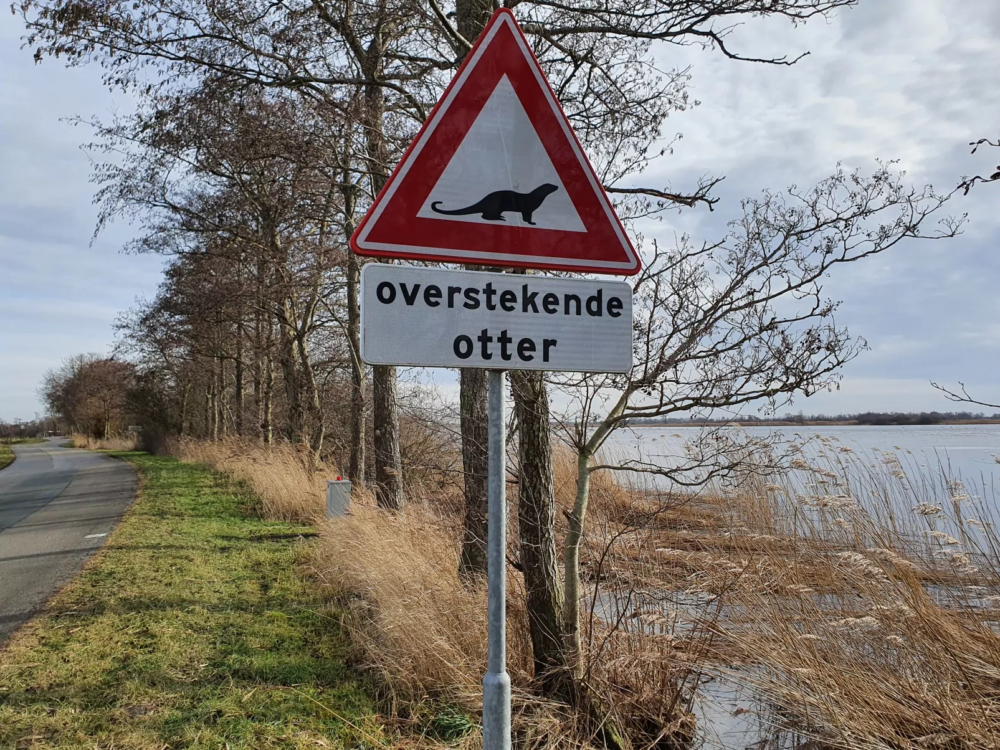 waarschuwingsbord otter waarschuwingsbord otter