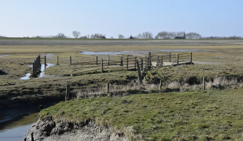 Restant schapenwasplaats