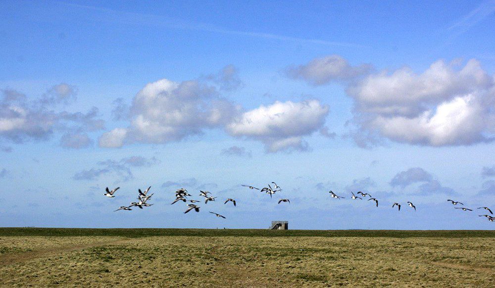 Noard_Fryslan_Butendyks6