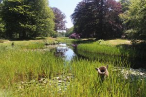 park huize olkterterp