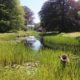 park huize olkterterp