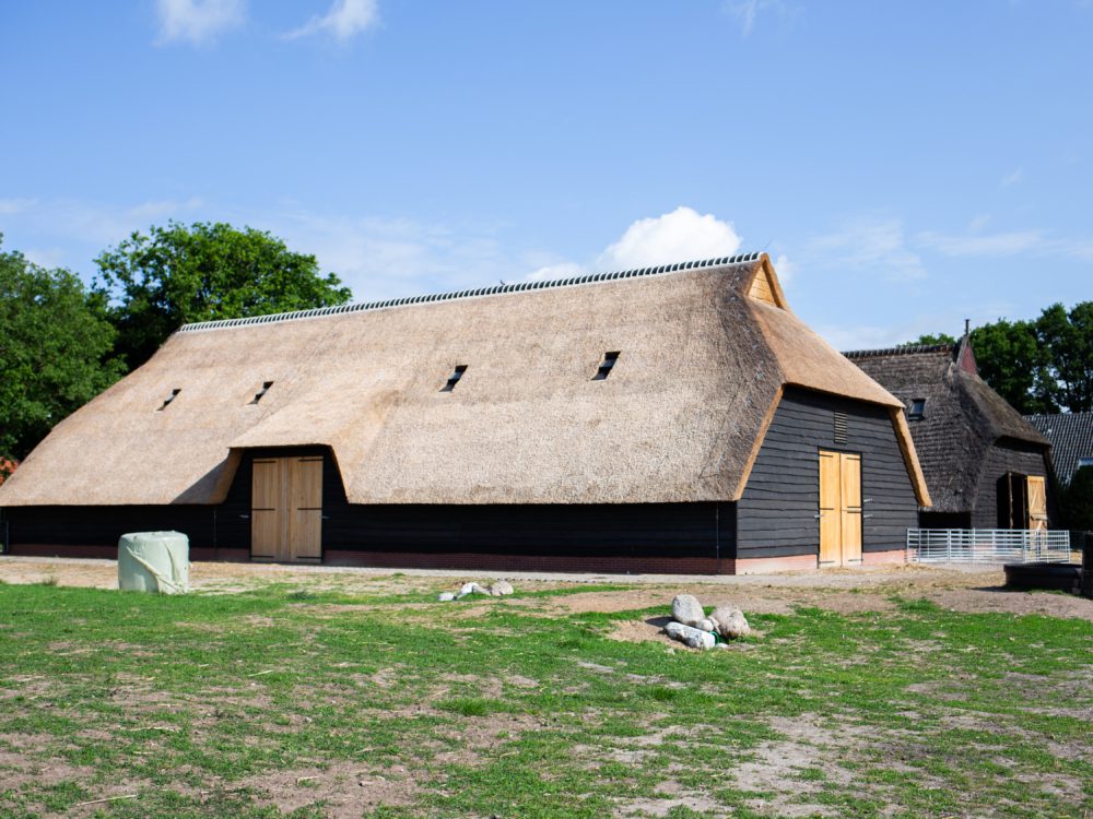 schaapskooi schaapskooi