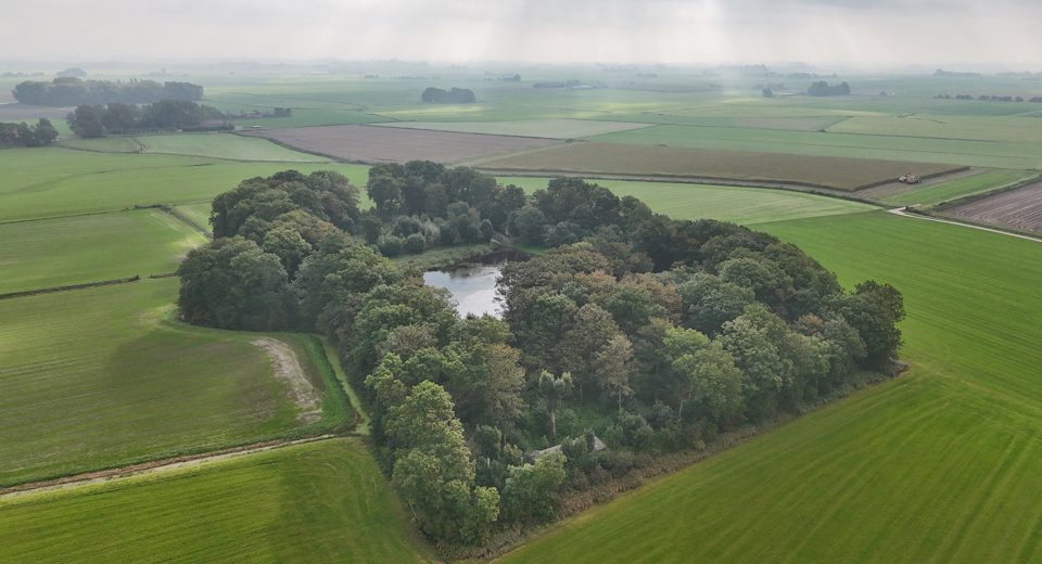 buismanskoai piaam